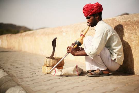Говорите ли змийски?