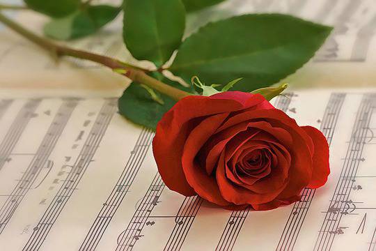 10-те най-любими любовни песни