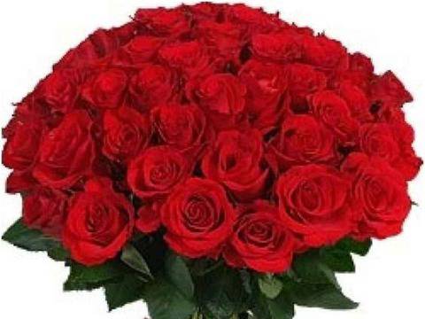 Как да останат розите ви свежи за по-дълго