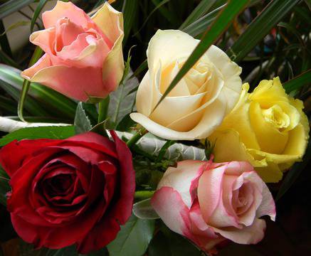 Кажи „Обичам те!“ с езика на цветята