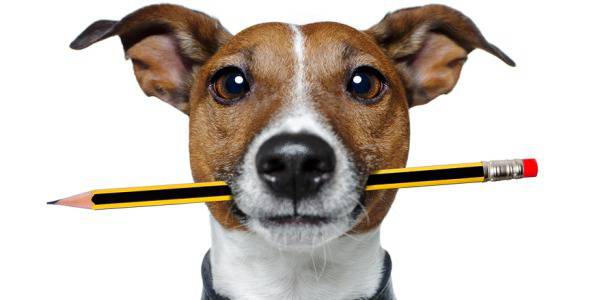 Конкурс „Стани автор при Бат’ Тони”