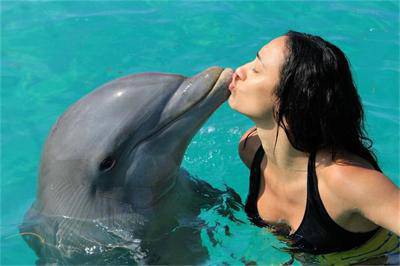 Делфин целуна Мария Илиева