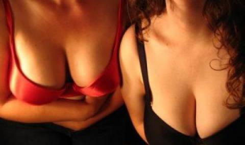 Избират „Мис естествен бюст 2013“