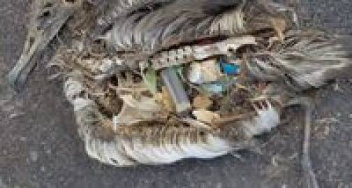 Ужас! Вижте армагедон, който настъпва (видео)