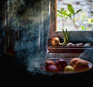 Диетология