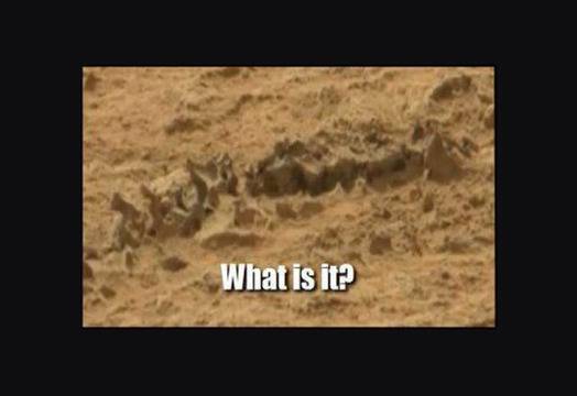 Curiosity откри скелет на динозавър на Марс?