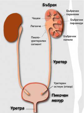 Лазерно разбиване на камъни в бъбреците