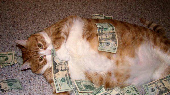 Почина най-богатият котарак, подозират мед. сестра за смъртта му