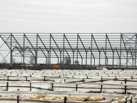 Произвеждат биотор от калифорнийски червеи в Пловдивско