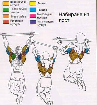 Кросфит тренировка за начинаещи