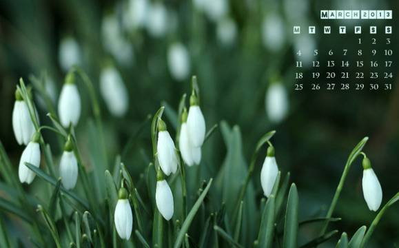 10 събития през март 2013 г., които не трябва да пропускате