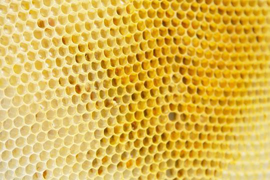 Българската суперхрана