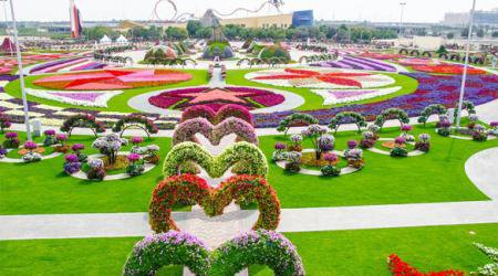 Цветовете на Dubai Miracle Garden