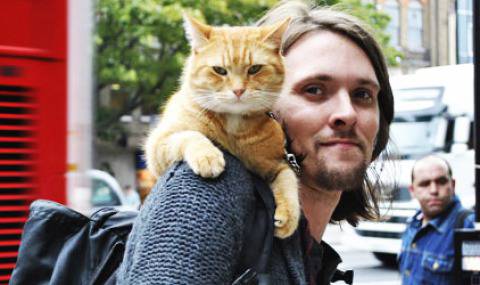 Как уличният котарак Боб спаси музиканта Джеймс Боуен от дрогата (видео)