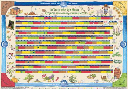 Биоземеделие, био продукти, био храни, екология, здраве