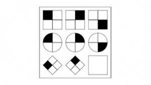 12-годишно момиче има по-високо IQ от Айнщайн и Хокинг