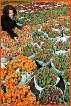 Още ли се чудите какво да подарите на любимата жена за 8-ми март?