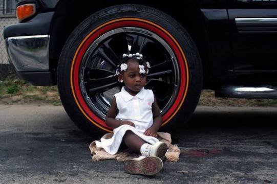 Ако животните ядяха МакДоналдс…