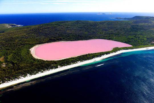 Розовото езеро Хилиър (Lake Hillier)