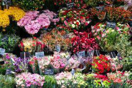 8 март е Международният ден на жената