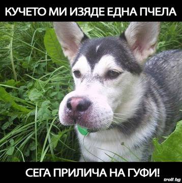 Моето куче Гуфи