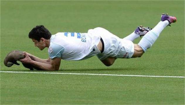 Белка ухапа футболист (видео)