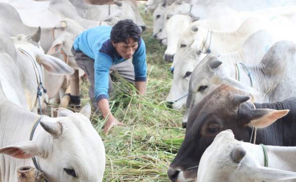 Освежител за въздух от… тор