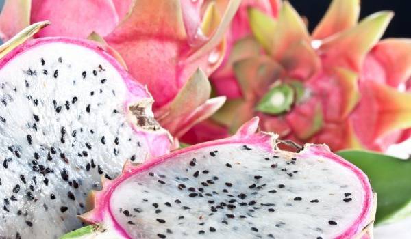 Драконов плод