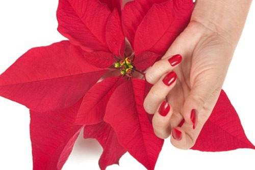 Празничен маникюр