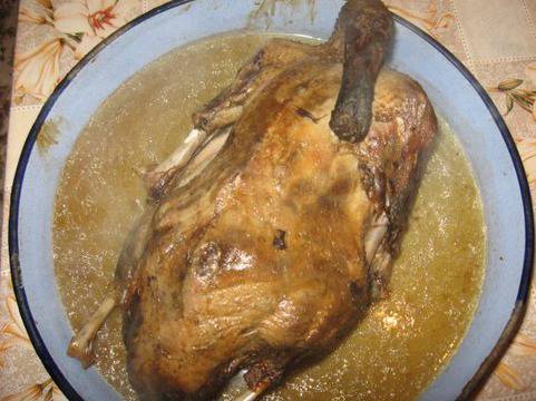 Пълнена патица в плик