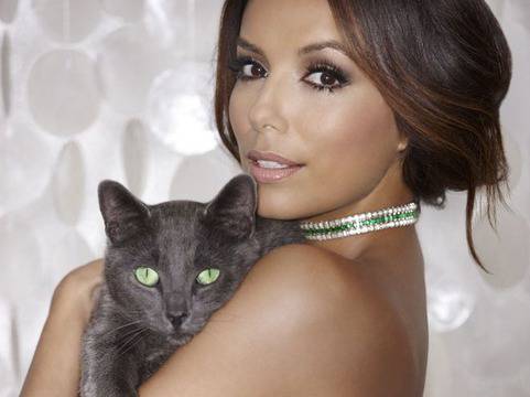 Новата „Шиба“ нахрани котето на Ева Лонгория (Видео)