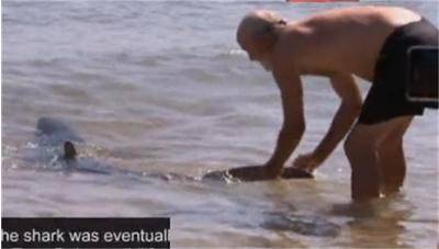 Да обезвредиш акула с голи ръце