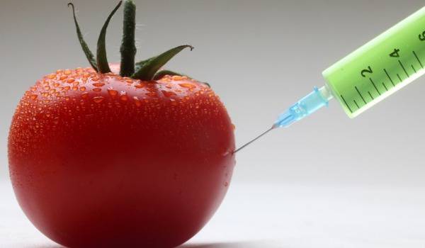 Що е то хидропоника?