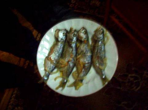 Сафрид на фурна