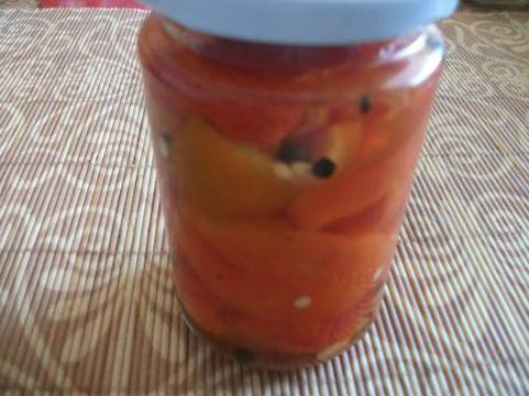 Рязани камби