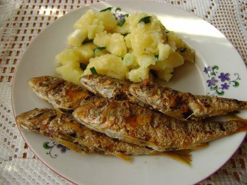 Барбун на тиган