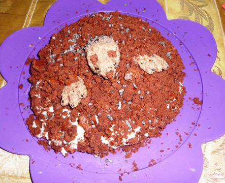 Торта Къртичина