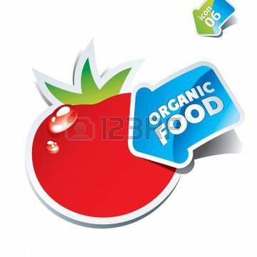 What You Should Not Miss Out From Organic Food