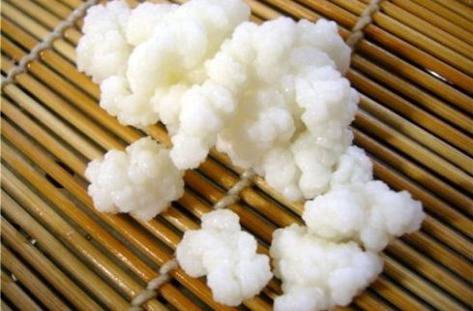 Тибетската гъба – универсален лек