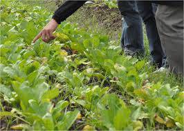 Био продукти и начините да ги произвеждаме