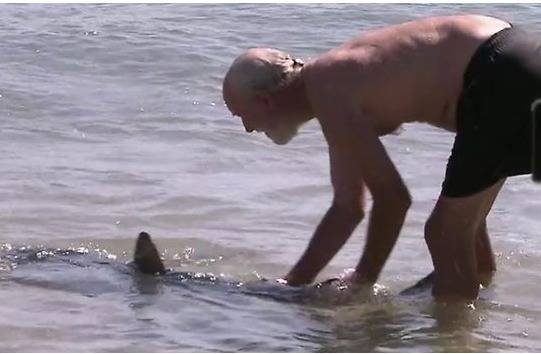 С ГОЛИ ръце, 62-годишен се пребори с акула! Какво се случи след това? (ВИДЕО)