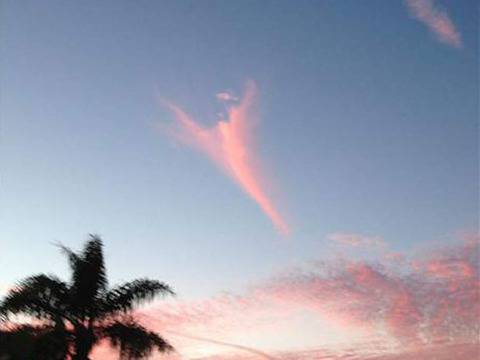 Облачен ангел се появи в небето в деня на избиране на новия папа