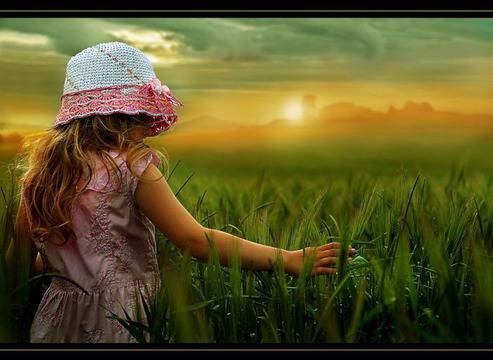 Чистотата на Прошката