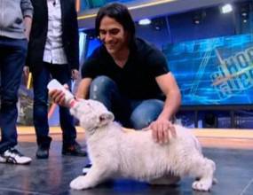 Фалкао храни малко тигърче в телевизионно шоу (видео)