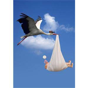 Как да познаем пола на бебето без видеозон 1 28352