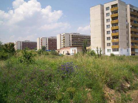 Мистерия в Студентски град