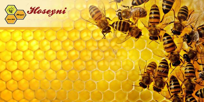 Пчелен Клей (прополис)