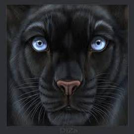 Невероятни живи снимки на диви животни