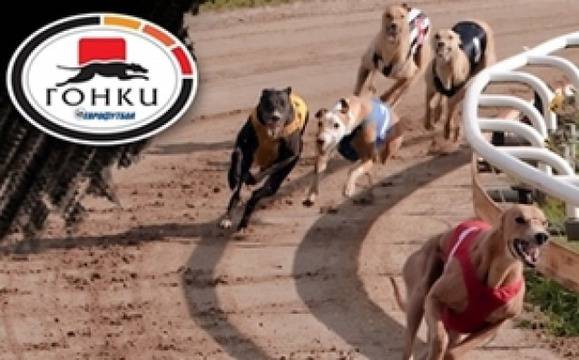 Над 3000 лева печалба от гонки в Еврофутбол с 12 лева залог