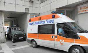 Дете почина от кучешка тения